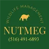 Nutmeg Wildlife Management LLC  logo